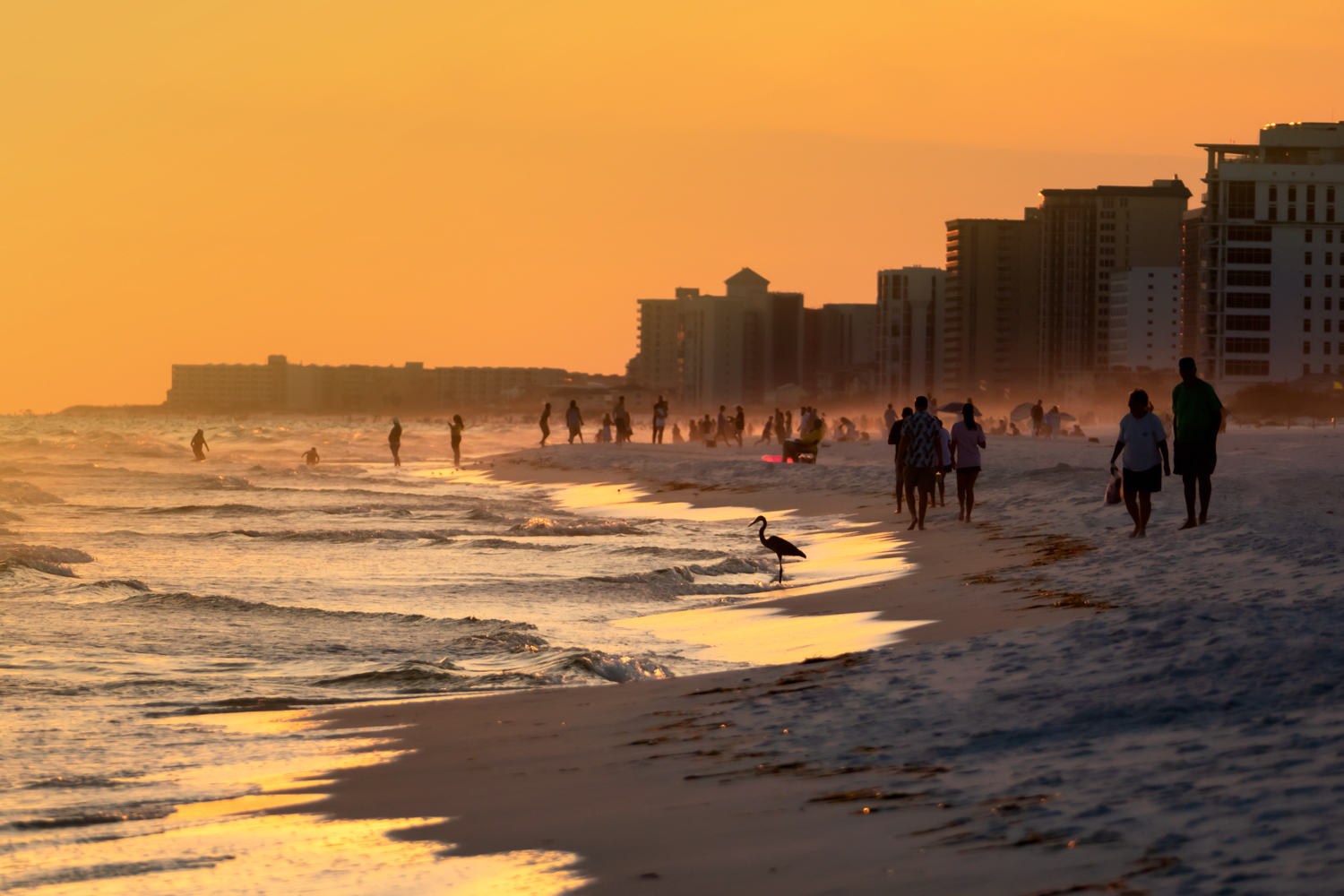 Life on the Beach • Into the Light Adventures Daily Adventures